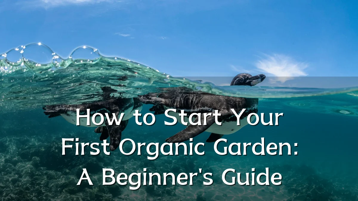 How to Start Your First Organic Garden: A Beginner's Guide