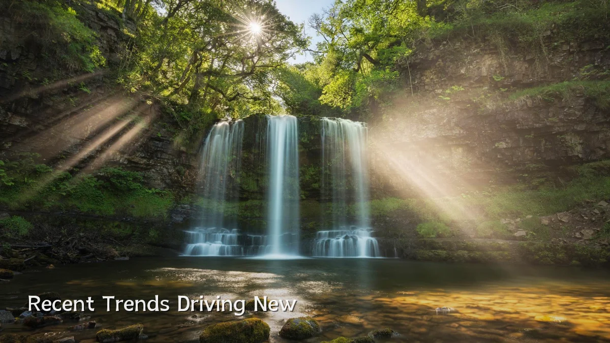 Recent Trends Driving New
