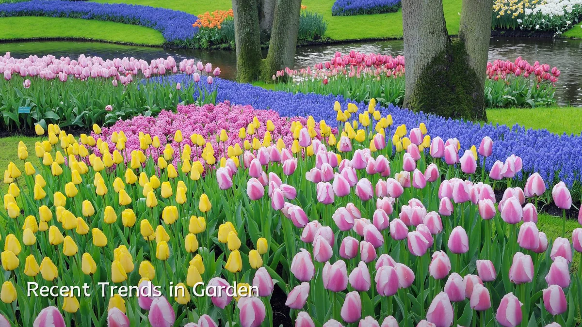 Recent Trends in Garden