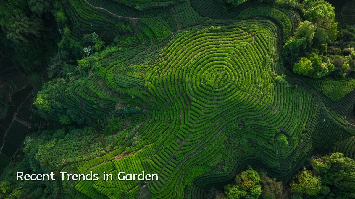 Recent Trends in Garden