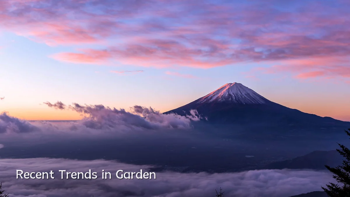 Recent Trends in Garden