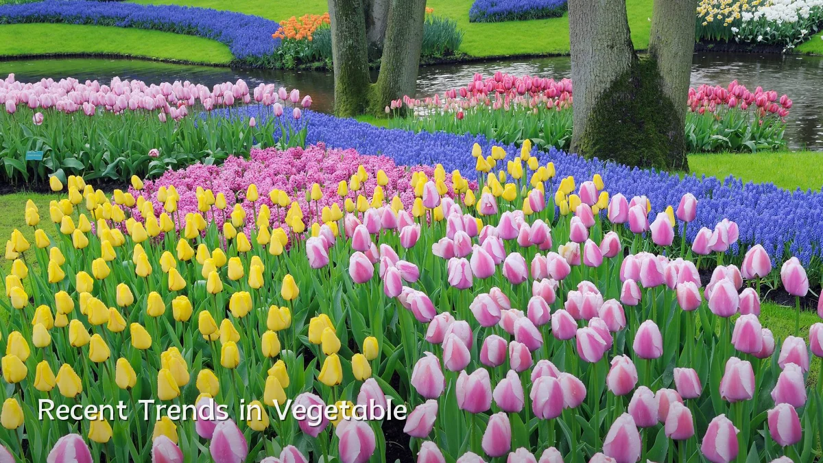 Recent Trends in Vegetable