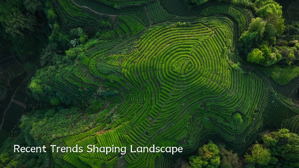 Recent Trends Shaping Landscape