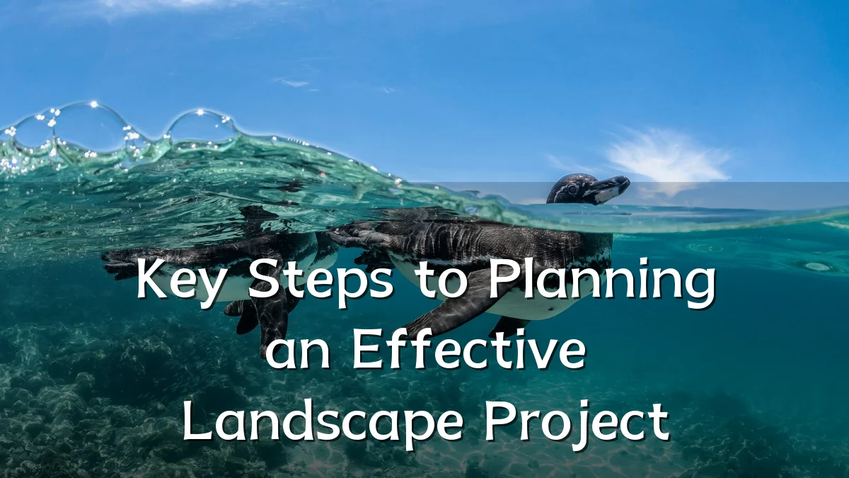 Key Steps to Planning an Effective Landscape Project