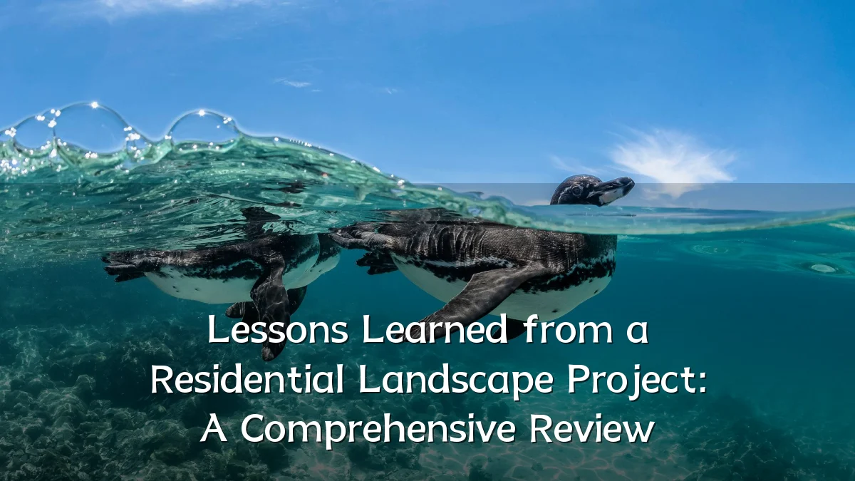 Lessons Learned from a Residential Landscape Project: A Comprehensive Review