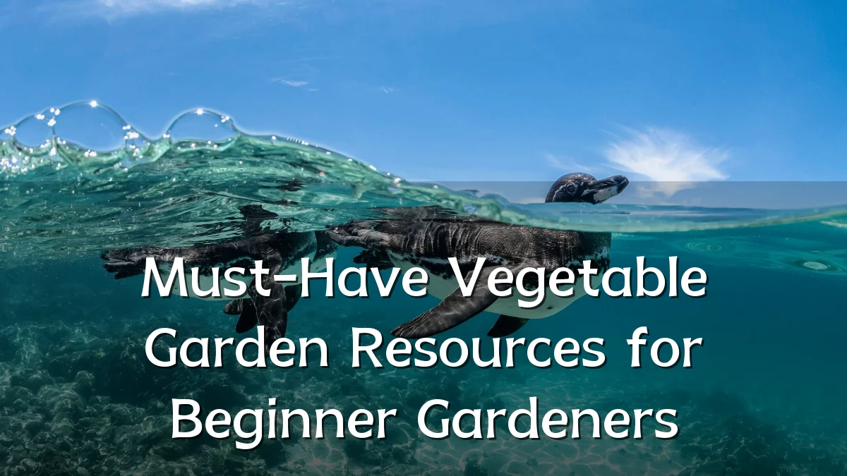 Must-Have Vegetable Garden Resources for Beginner Gardeners