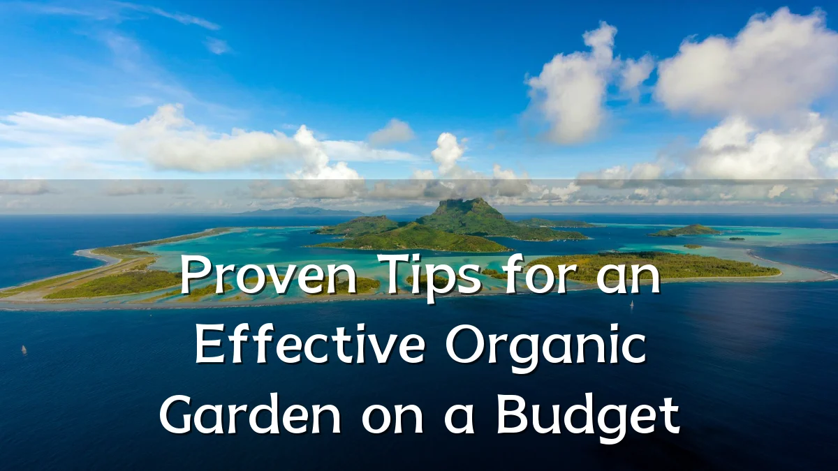 Proven Tips for an Effective Organic Garden on a Budget