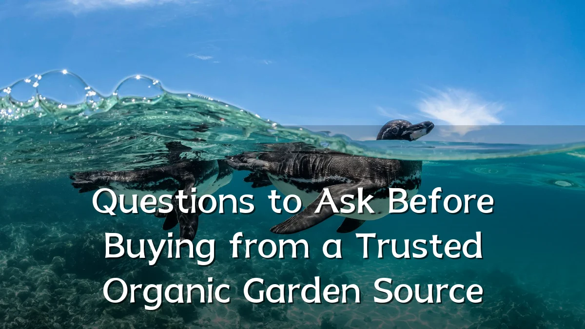 Questions to Ask Before Buying from a Trusted Organic Garden Source