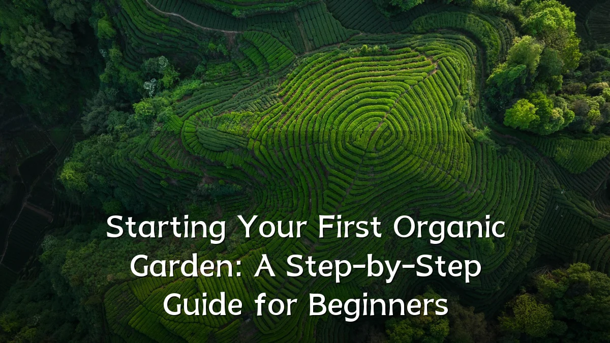 Starting Your First Organic Garden: A Step-by-Step Guide for Beginners