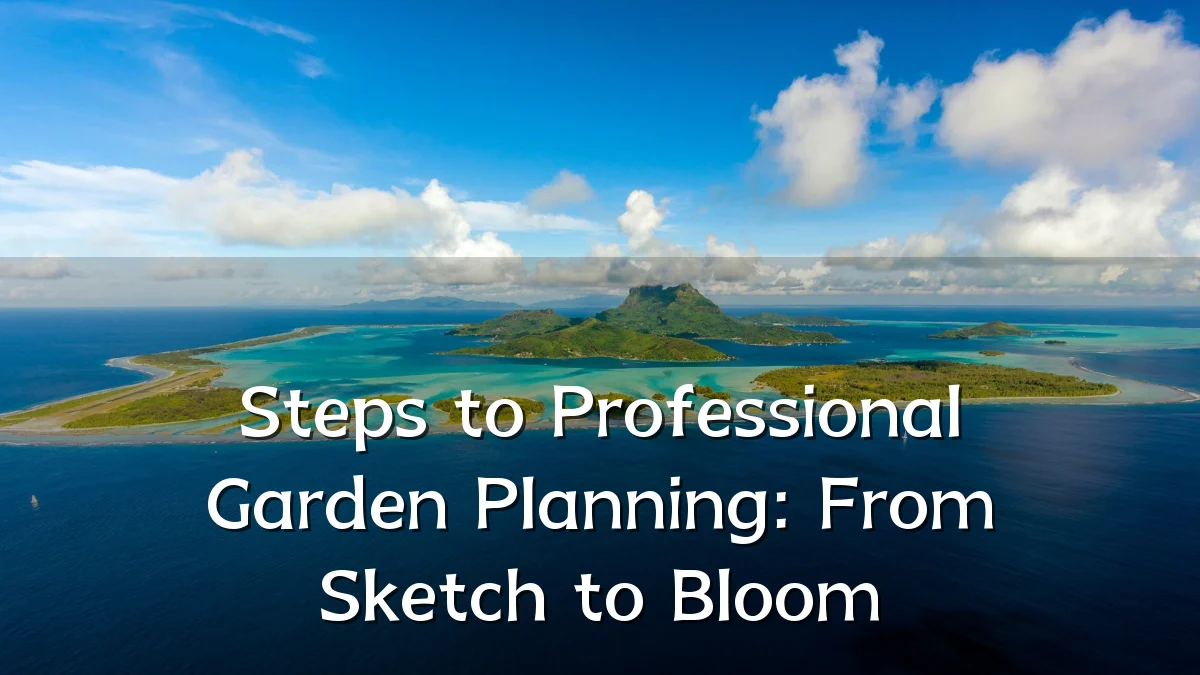 Steps to Professional Garden Planning: From Sketch to Bloom