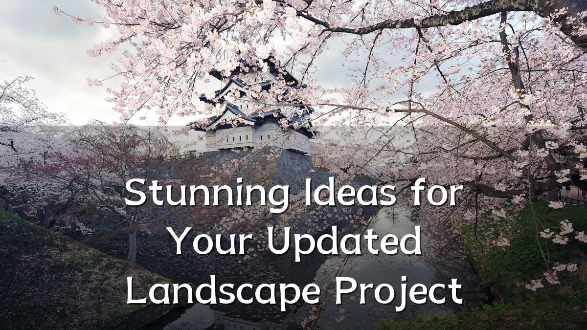 Stunning Ideas for Your Updated Landscape Project
