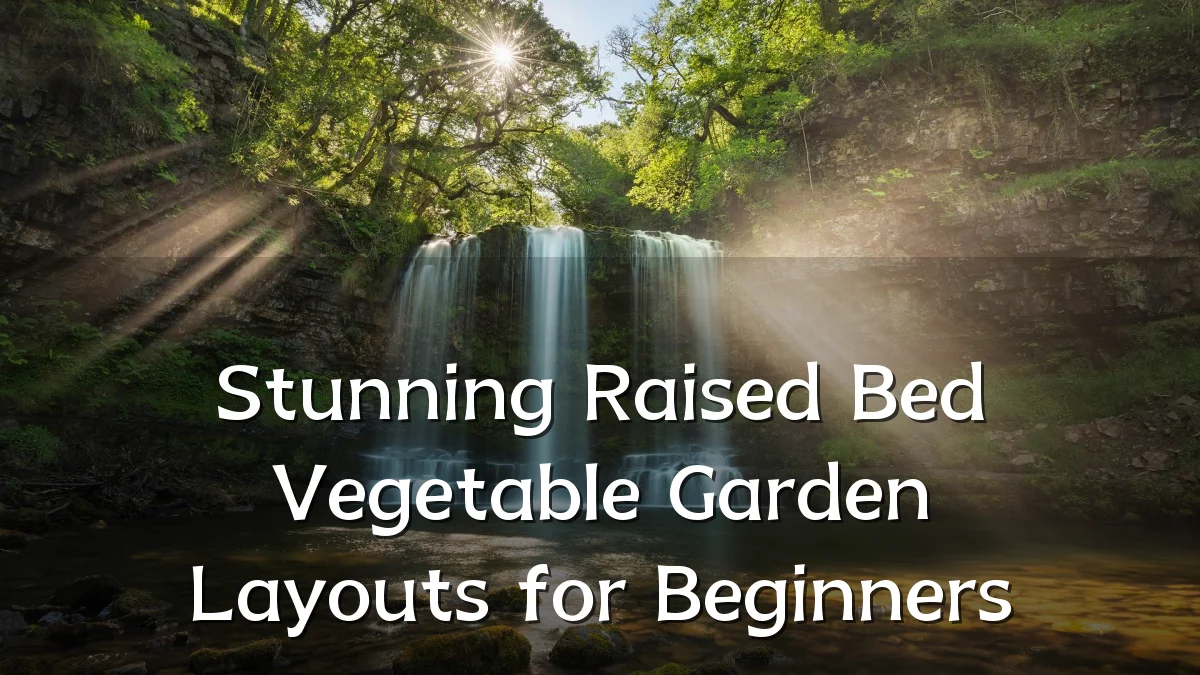 Stunning Raised Bed Vegetable Garden Layouts for Beginners