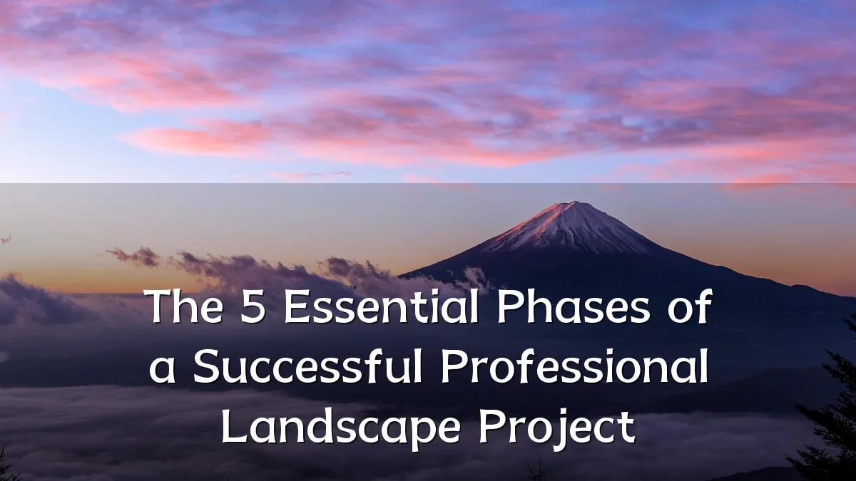 The 5 Essential Phases of a Successful Professional Landscape Project
