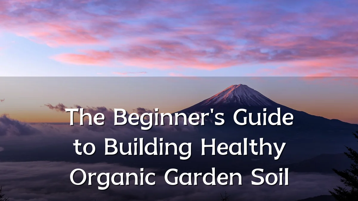 The Beginner's Guide to Building Healthy Organic Garden Soil