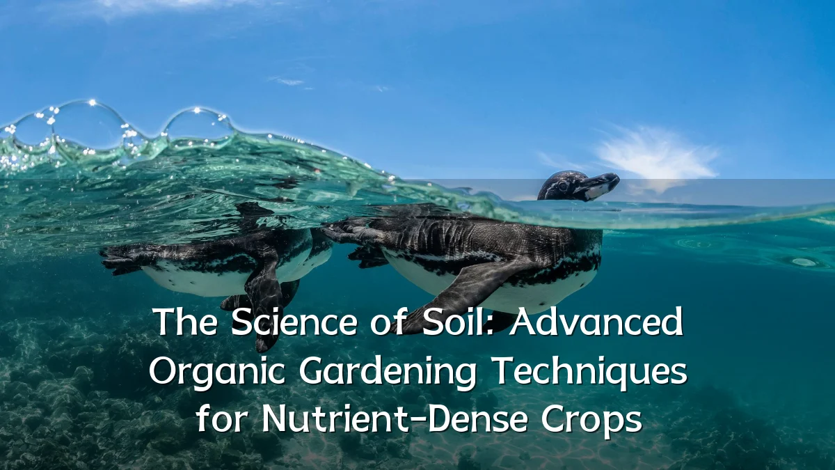 The Science of Soil: Advanced Organic Gardening Techniques for Nutrient-Dense Crops
