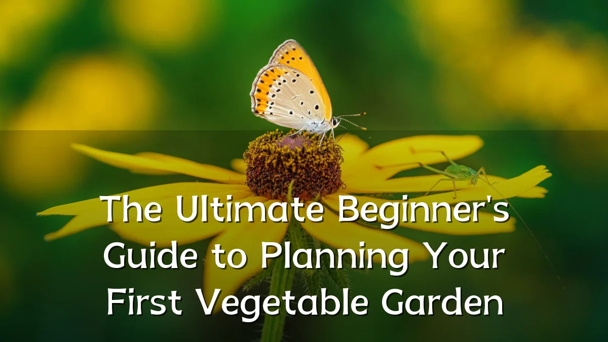 The Ultimate Beginner's Guide to Planning Your First Vegetable Garden