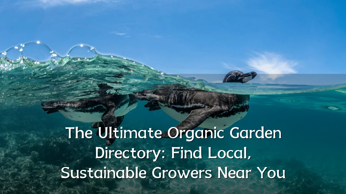 The Ultimate Organic Garden Directory: Find Local, Sustainable Growers Near You