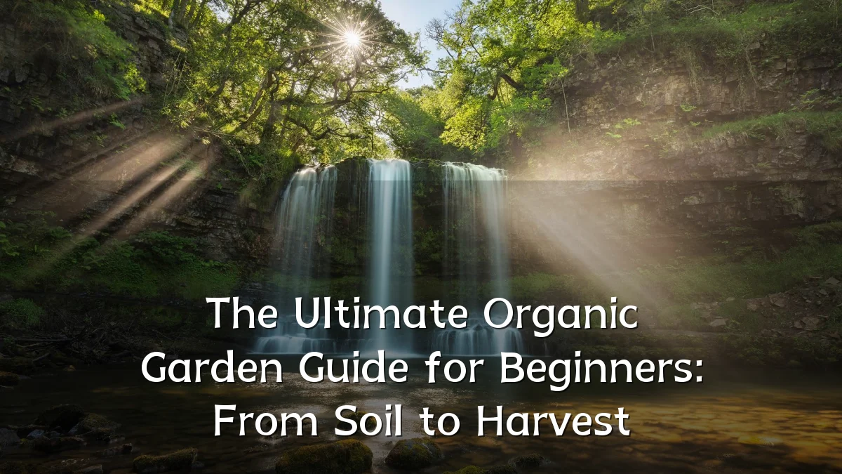 The Ultimate Organic Garden Guide for Beginners: From Soil to Harvest
