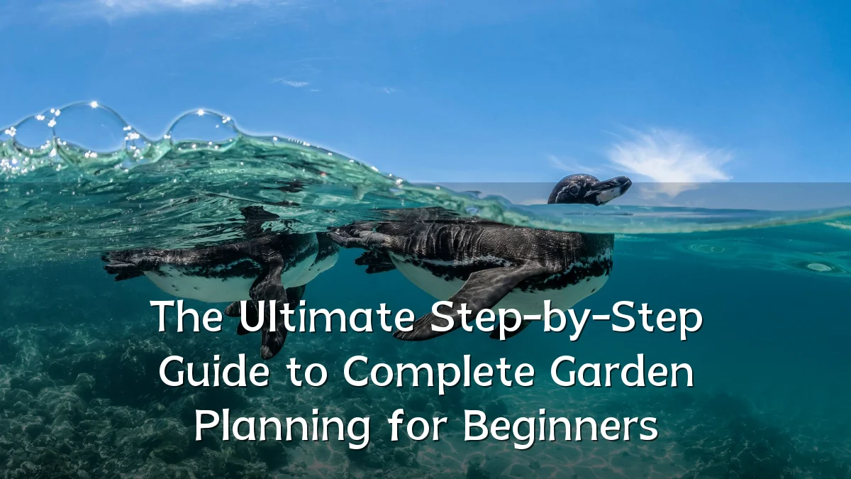 The Ultimate Step-by-Step Guide to Complete Garden Planning for Beginners