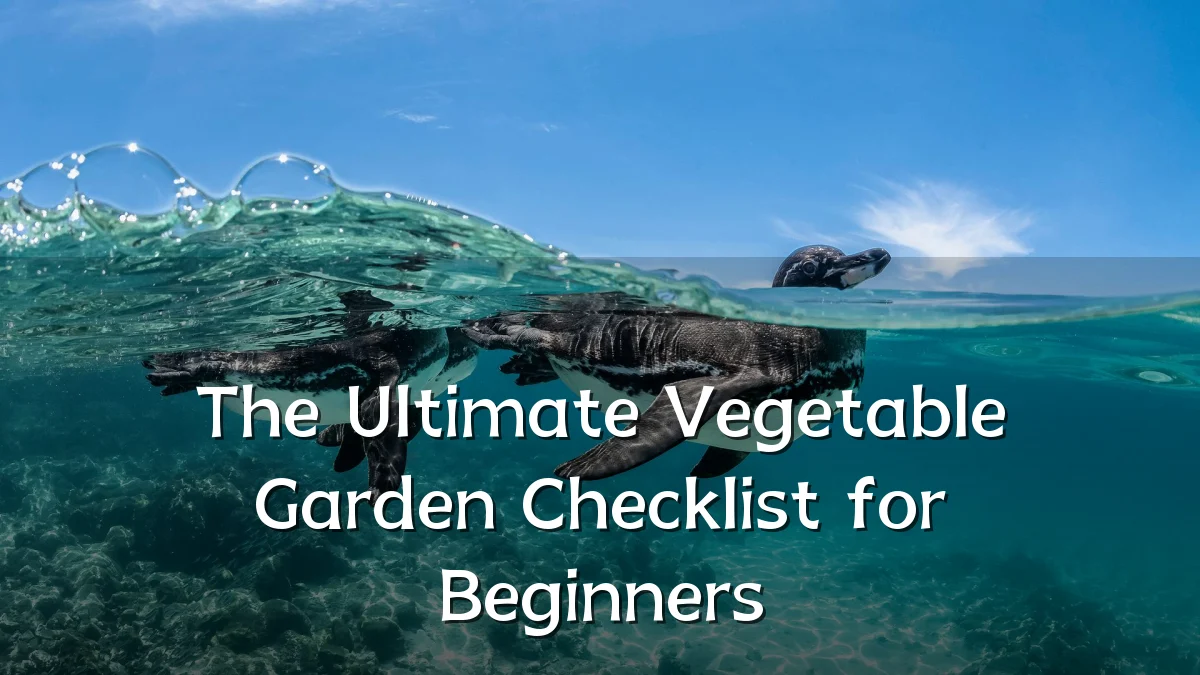 The Ultimate Vegetable Garden Checklist for Beginners