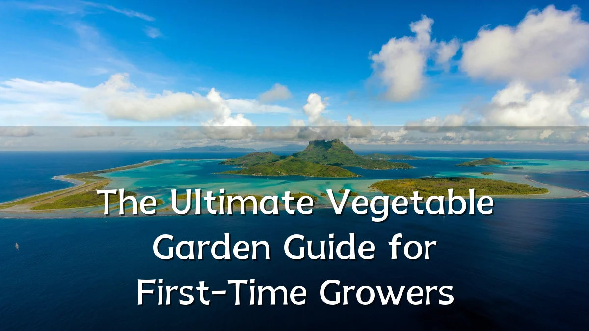 The Ultimate Vegetable Garden Guide for First-Time Growers