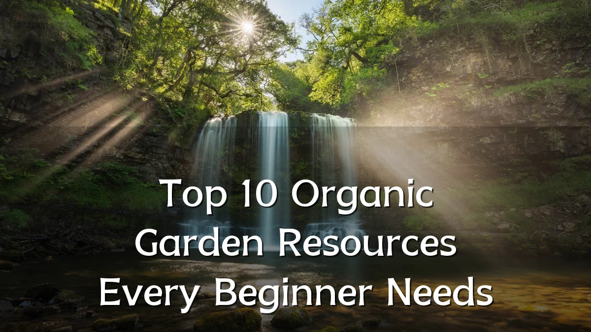 Top 10 Organic Garden Resources Every Beginner Needs