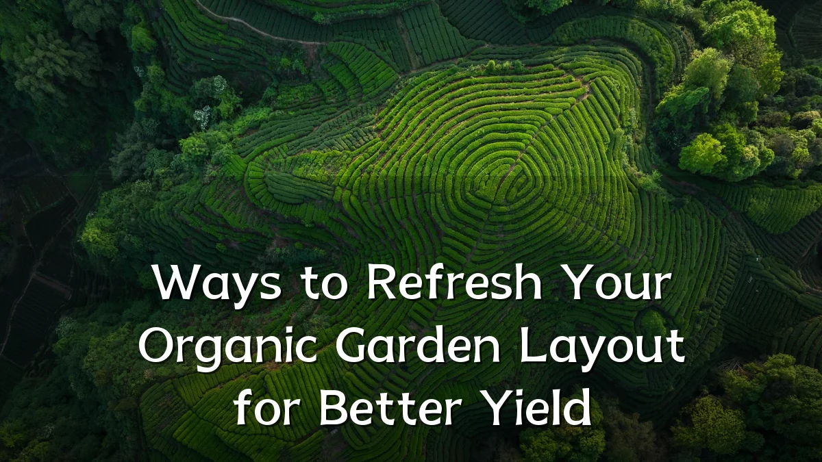 Ways to Refresh Your Organic Garden Layout for Better Yield